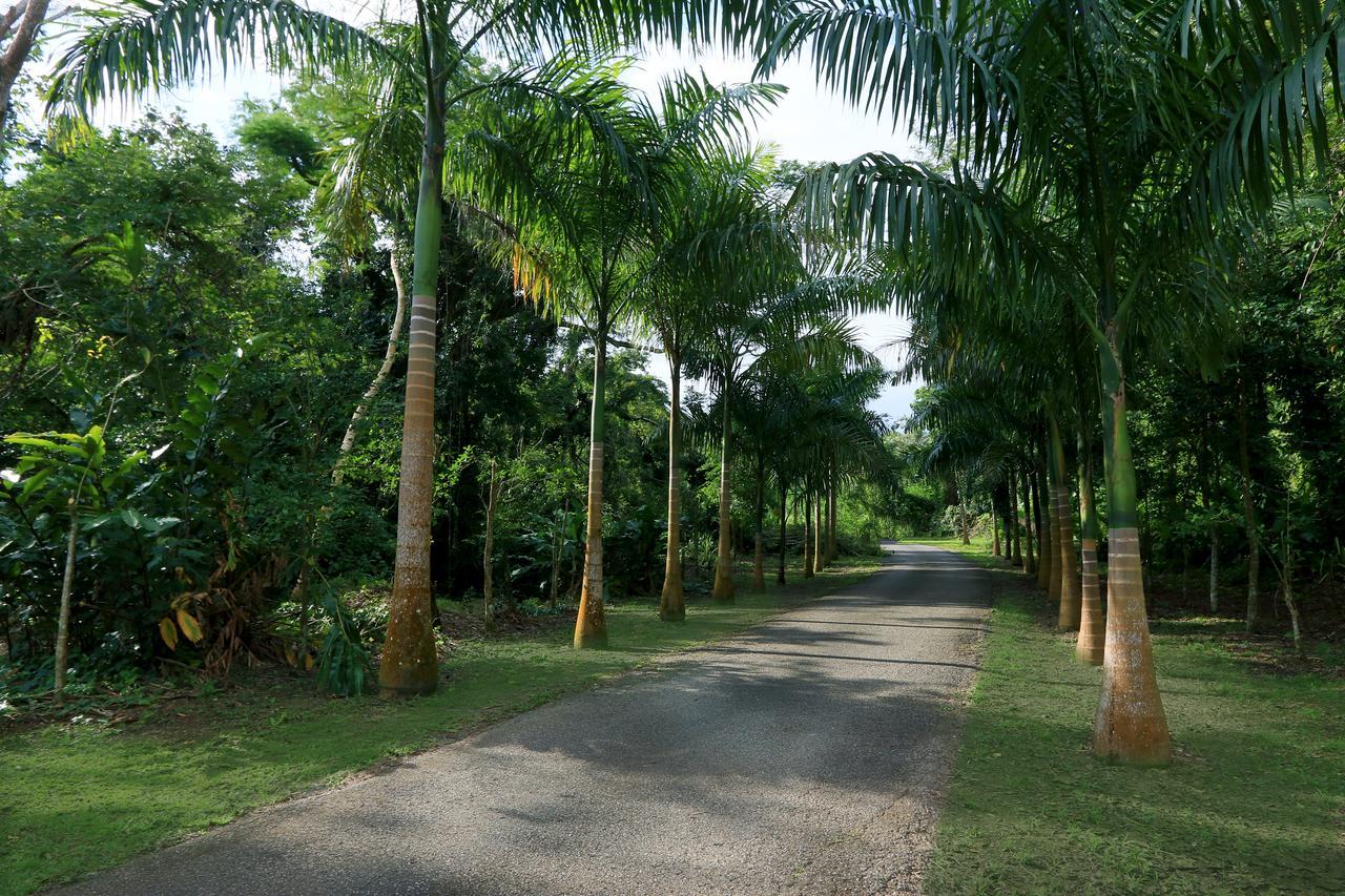 Hacienda Tres Casitas Guest House Cabo Rojo Exterior photo